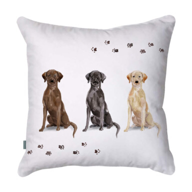 Labradors Sitting Patently